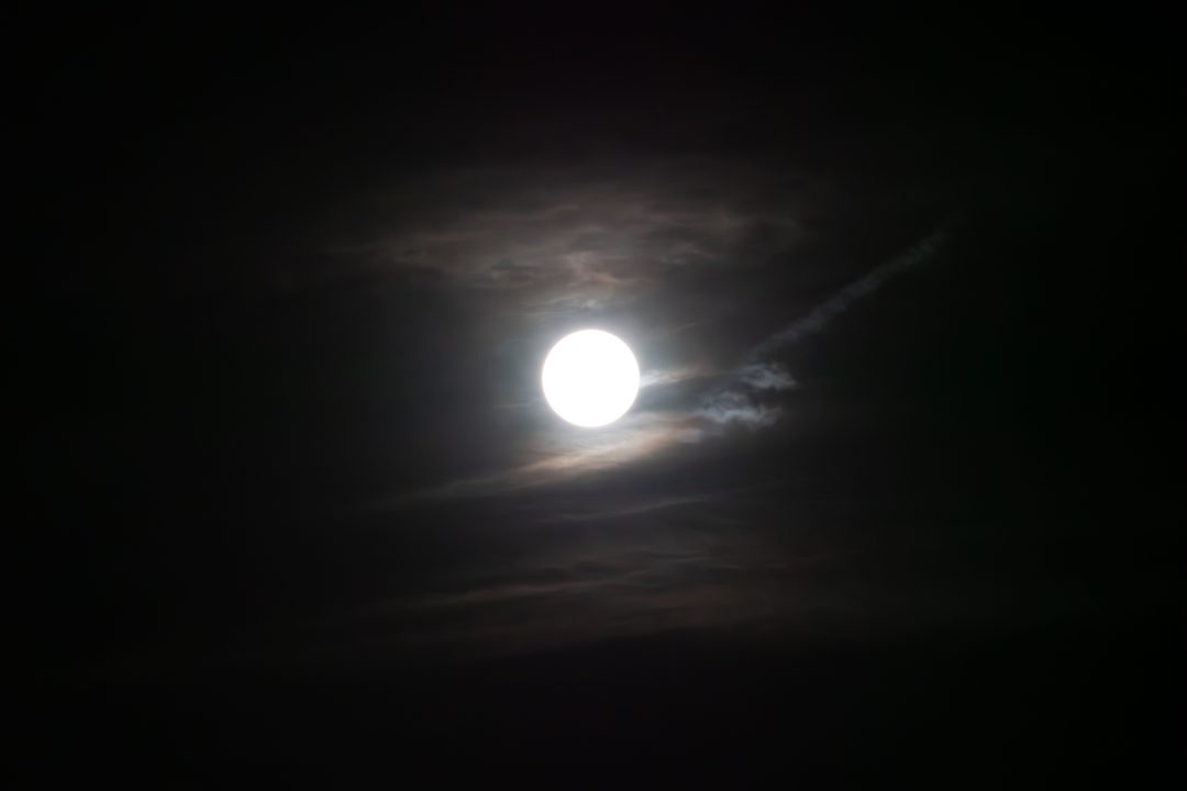 _DSC3324-Enhanced-NR